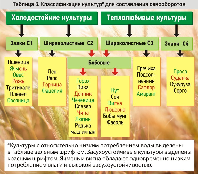 Реализация схем севооборотов