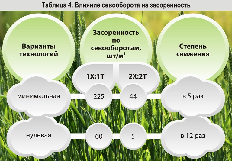 Причины чередования культур в севообороте