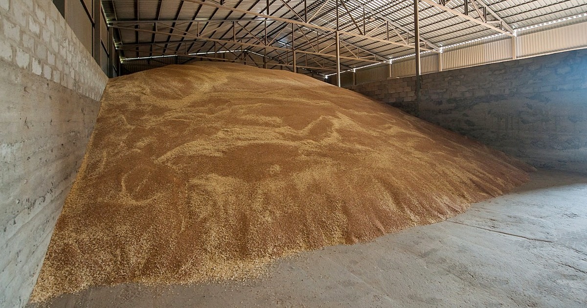 Продкорпорация объявила закупочные цены на зерно — АГРО БИЗНЕС КАЗАХСТАН